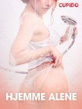 eBook: Hjemme alene - erotiske noveller