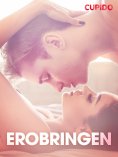 eBook: Erobringen - erotiske noveller