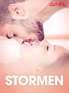 eBook: Stormen  - erotiske noveller