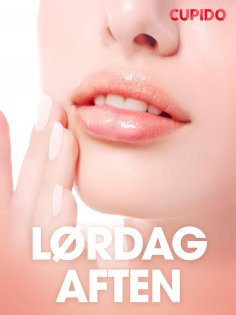 eBook: Lørdag aften - erotiske noveller