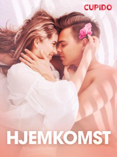 eBook: Hjemkomst - erotiske noveller