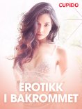 eBook: Erotikk i bakrommet  - erotiske noveller