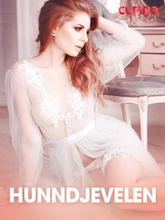 eBook: Hunndjevelen - erotiske noveller