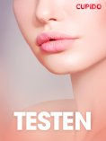 eBook: Testen - erotiske noveller