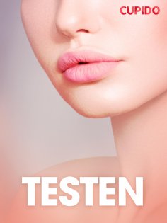 eBook: Testen - erotiske noveller