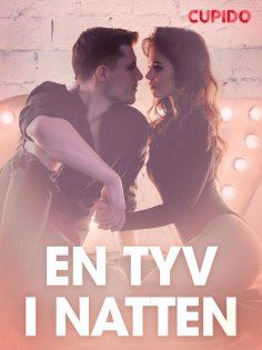 eBook: En tyv i natten – erotiske noveller