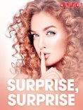 eBook: Surprise, surprise – erotiske noveller