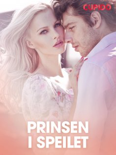 eBook: Prinsen i speilet – erotiske noveller