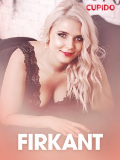 eBook: Firkant – erotisk novelle