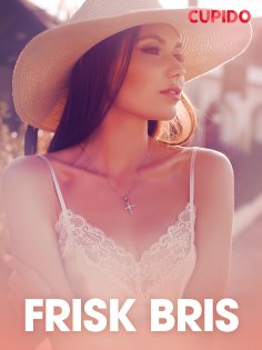 eBook: Frisk bris – erotiske noveller