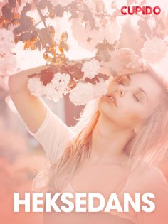 eBook: Heksedans – erotiske noveller