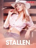 eBook: Stallen – erotiske noveller