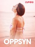 eBook: Oppsyn – erotisk novelle