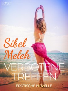 eBook: Verbotene Treffen - Erotische Novelle