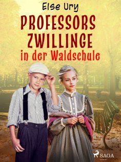 eBook: Professors Zwillinge in der Waldschule