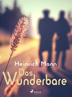 ebook: Das Wunderbare