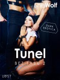 eBook: Bez Tabu 2: Tunel – seria erotyczna