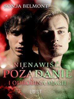 ebook: Nienawiść, pożądanie i odrobina magii: 3 opowiadania erotyczne inspirowane dynamiką Harry Potter/Dra