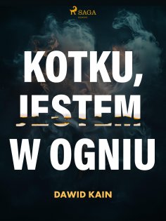 eBook: Kotku jestem w ogniu