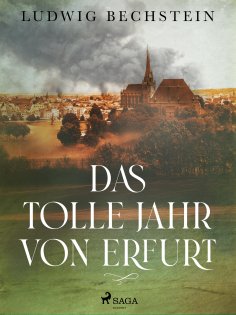 eBook: Das tolle Jahr von Erfurt