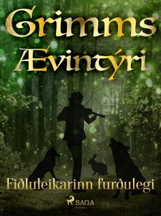 eBook: Fiðluleikarinn furðulegi