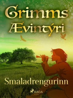 eBook: Smaladrengurinn