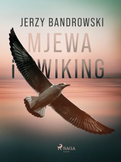 eBook: Mjewa i Wiking