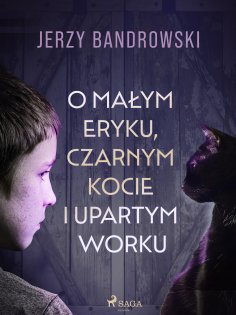 eBook: O małym Eryku, czarnym kocie i upartym worku