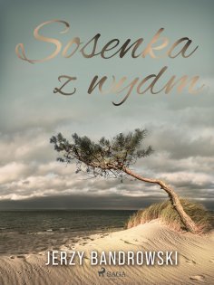 ebook: Sosenka z wydm