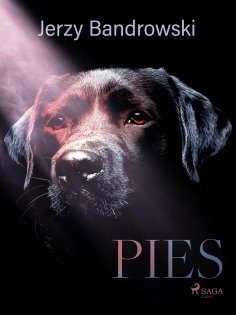 ebook: Pies