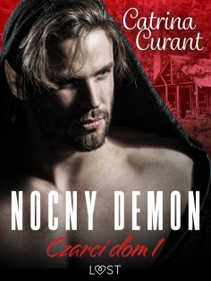 ebook: Czarci dom 1: Nocny demon – seria erotyczna