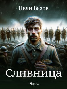 eBook: Сливница