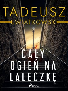 eBook: Cały ogień na laleczkę