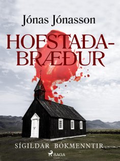 eBook: Hofstaðabræður