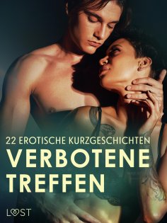 eBook: Verbotene Treffen: 22 erotische Kurzgeschichten