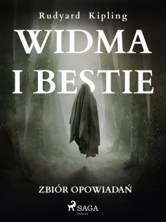 eBook: Widma i bestie. Zbiór opowiadań