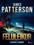 eBook: Feluleikur