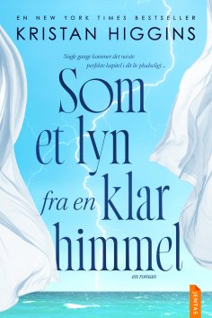 ebook: Som et lyn fra en klar himmel
