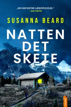 eBook: Natten det skete