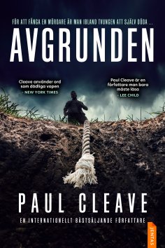 ebook: Avgrunden