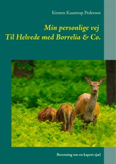 eBook: Min personlige vej  Til Helvede med Borrelia & Co.