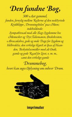 eBook: Den fundne Bog