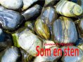 ebook: Som en sten