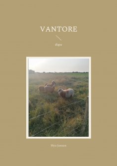 ebook: Vantore