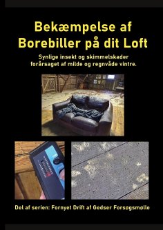 eBook: Bekæmpelse af Borebiller på dit Loft