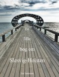 eBook: En lille bog om Slesvig-Holsten