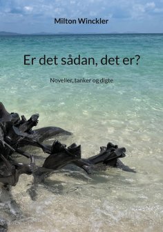 eBook: Er det sådan, det er?