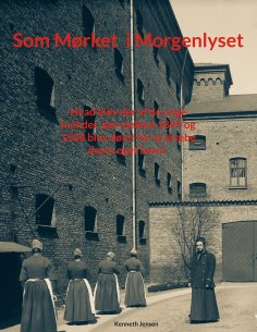 ebook: Som mørket i morgenlyset