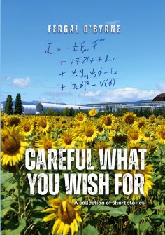 ebook: Careful What You Wish For