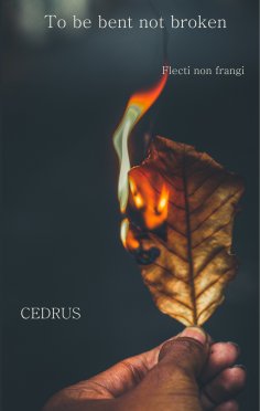 ebook: To be bent, not broken